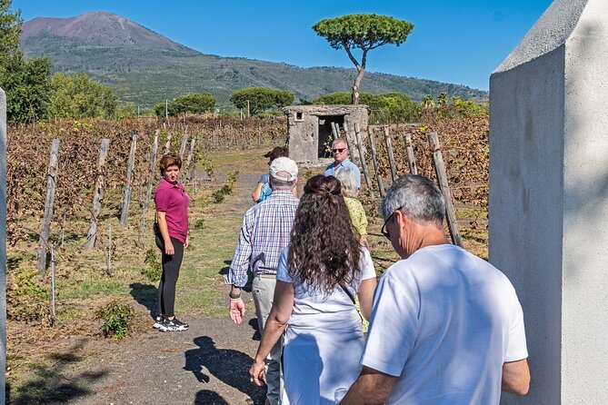 Naples: Tour of Mt Vesuvius and Pompeii w/ Lunch & Wine tasting - Mount Vesuvius National Park: crater walk, volcanic context, and the hike reality