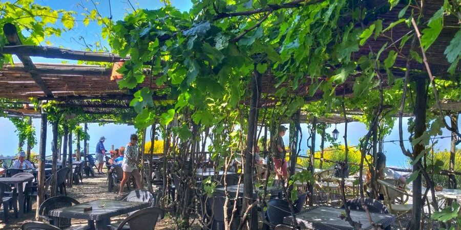 Naples: Vesuvius Half-Day Trip with Lunch and Wine Tasting - Who This Tour Suits Best (And Who Should Rethink It)
