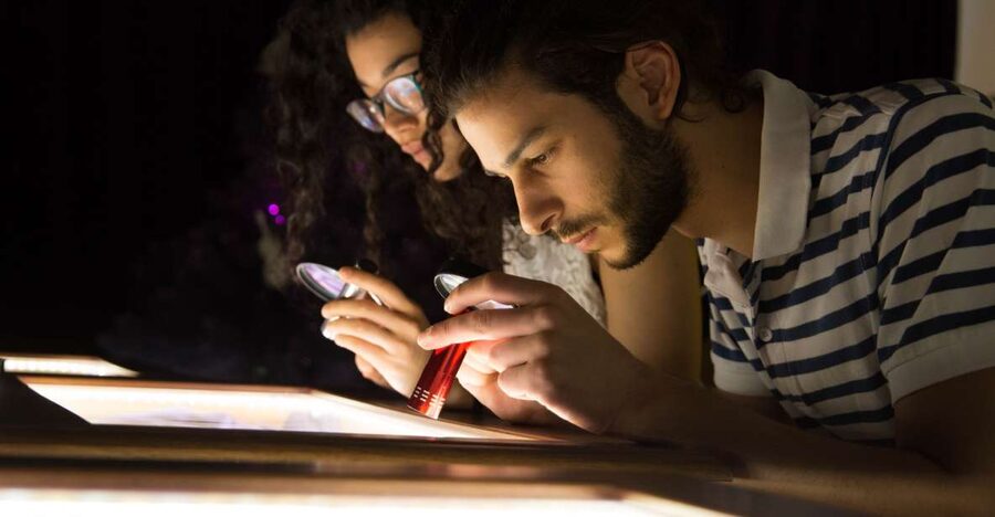 Napoli: Museodivino Entrance Ticket and Guided Tour - Entering the collection: you get your flashlight and your viewing plan