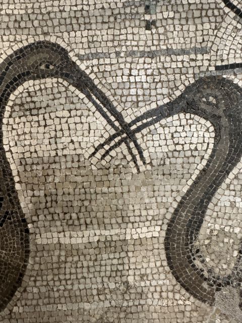 National Archaeological Museum of Naples Private Guided Tour - Key highlights you’ll care about