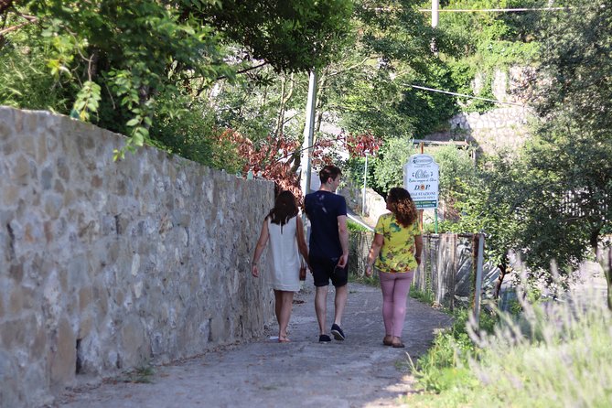Olive oil tasting in Sorrento - Inside the Mill: Learning the Steps Without the Lecture Vibe