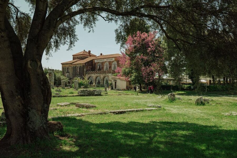 Paestum Archaeological Tour: 3-Hour Private Exploration - How 3 hours works on the ground (and how to get the most from it)