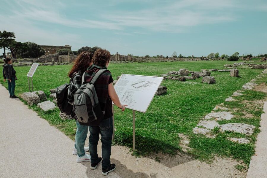 Paestum Archaeological Tour: 3-Hour Private Exploration - The guide factor: why Mario gets mentioned