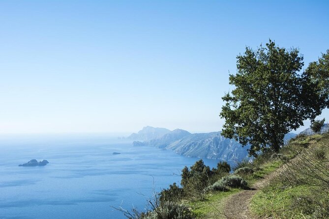 Path of the Gods Private Hiking Tour from Agerola - Key Highlights You Should Care About