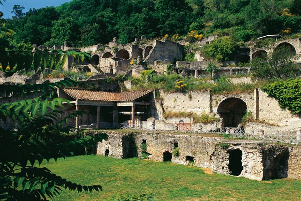 Phlegraean Fields: Cuma Baia and Pozzuoli private excursion - The Campi Flegrei start: understanding extinct volcanoes and bradyseismic ground