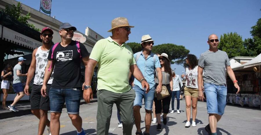 Pompei: Private tour of Pompei and Vesuvius from Sorrento - Key Points to Know Before You Go