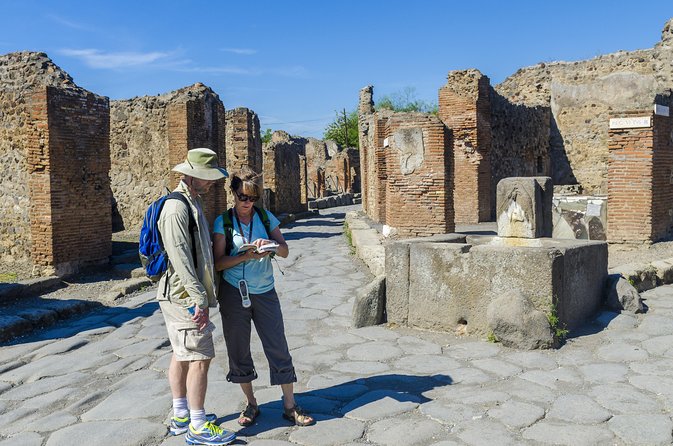 Pompeii 2-hour Private Tour with an Archaeologist-Ticket included - Walking the main street: when ruins start to feel like a route