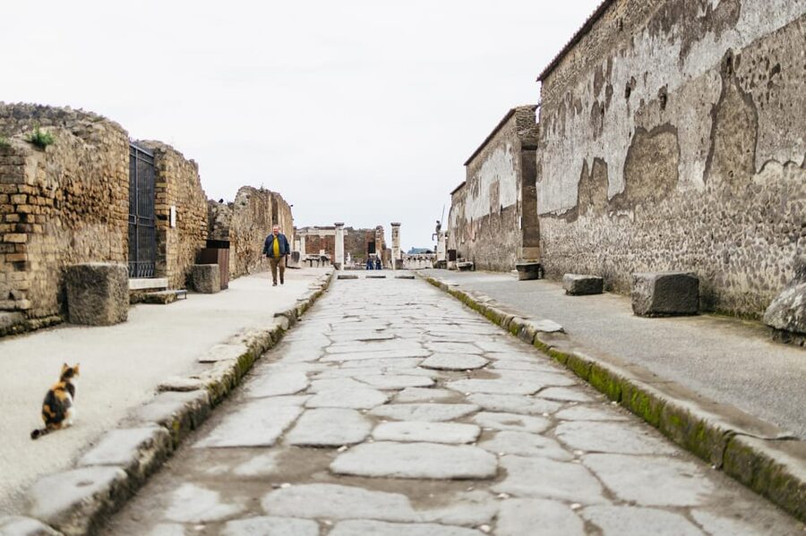 Pompeii: Afternoon to Sunset Guided Tour with Ticket - Neighborhood streets: bakeries and housing blocks up close