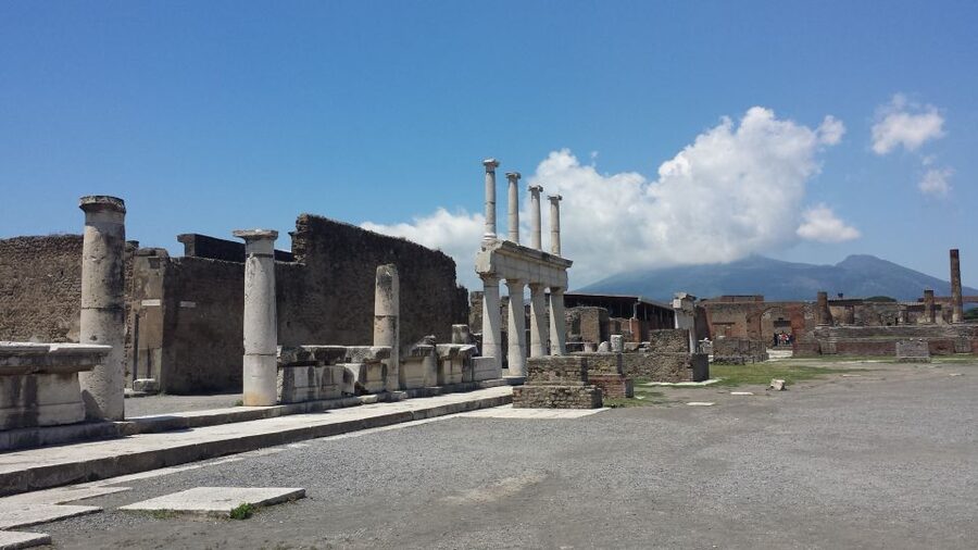 Pompeii and Herculaneum: Private Tour from Naples - Naples Pickup and the Private Driver Plan (So You Don’t Waste Time)