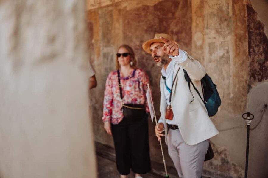 Pompeii and Oplontis: Small Group Tour with an Archaeologist - Price and Value: What You’re Paying For at $105