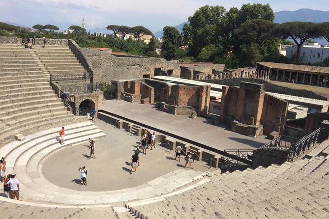 Pompeii and Sorrento Day Trip from Naples - Archaeological Park of Pompeii: Forum, Baths, and the Lupanare in 2 Hours