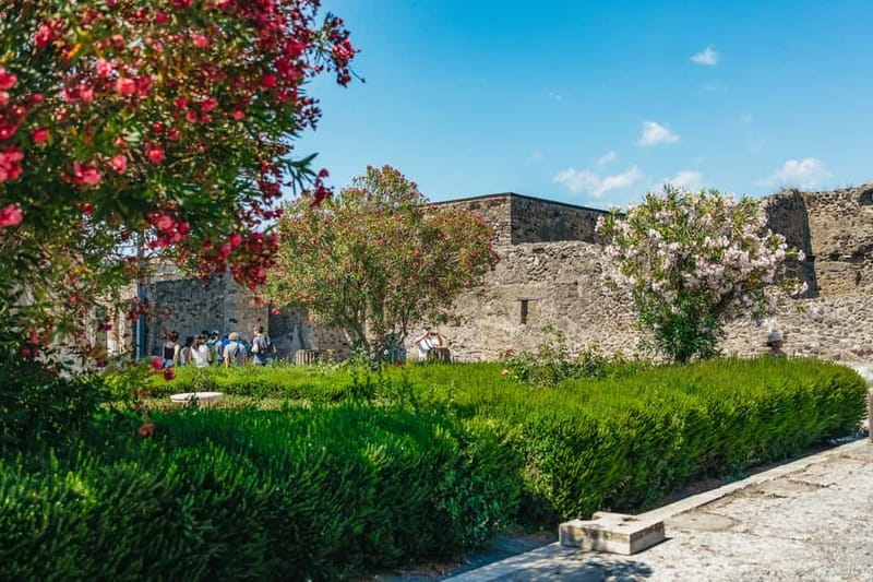 Pompeii: Archaeological Park Tour with Ticket on request - Key things to know before you go