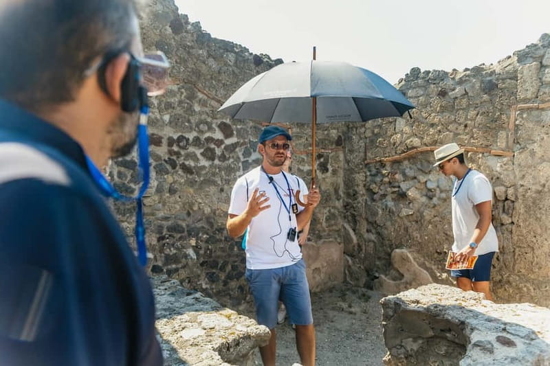 Pompeii: Archaeological Park Tour with Ticket on request - The Vesuvius context: why the guide’s story matters