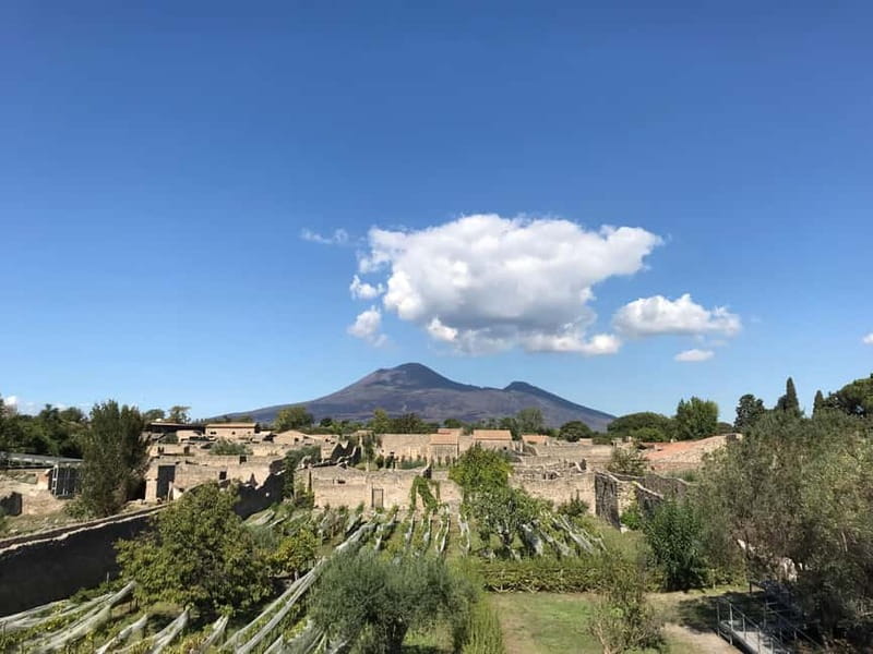 Pompeii: Archeological Tour & Wine Tasting at Mt. Vesuvius - Transport time: why the van rides are short and still matter