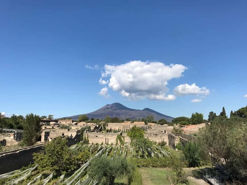 Pompeii: Exclusive Tour with Archaeologist and Entry Tickets - Key highlights to look for