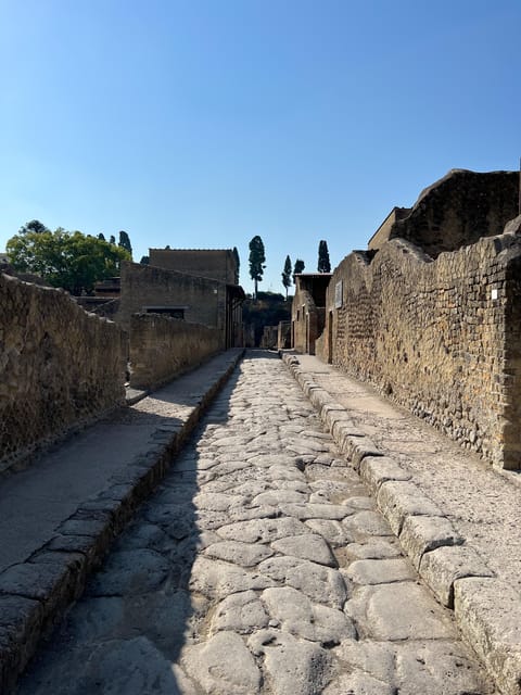 Pompeii Guided Experience - Tour Service Only - A licensed local guide, English explanations, and fun facts that make sense