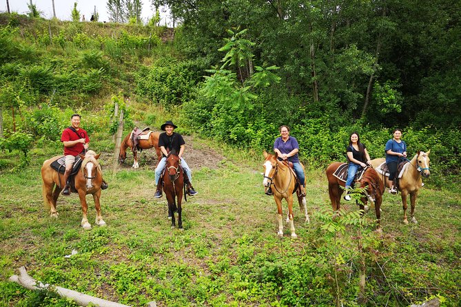 Pompeii Guided Tour & Horse Riding on Vesuvius with Lunch - The Terzigno Vineyard Segment: Another Chance for Views
