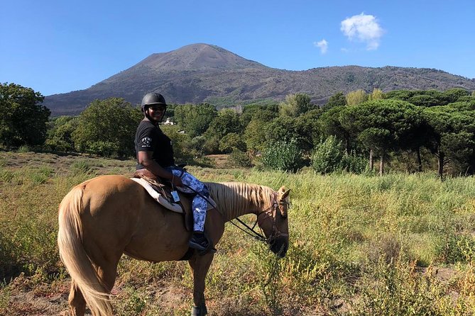 Pompeii Guided Tour & Horse Riding on Vesuvius with Lunch - The Pompeii Guide Tour: Domus, Public Space, and Excavations in Context