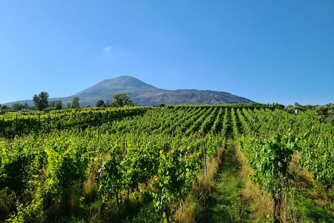 Pompeii Guided Tour & Lunch with Superior Wine Tasting - When a second winery stop shows up, plan for a different vibe