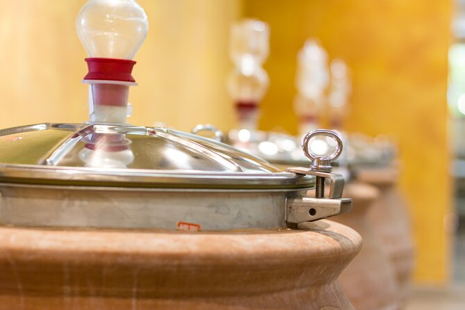 Pompeii Guided Tour & Lunch with Superior Wine Tasting - Who this tour is best for