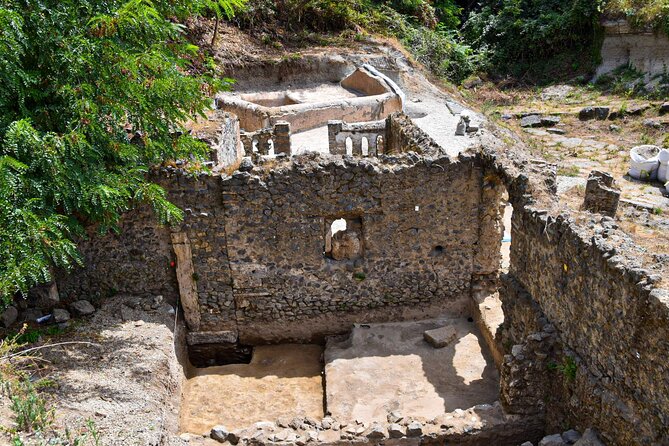 Pompeii Guided Tour & Lunch with Superior Wine Tasting - Stop 1: Pompeii’s Archaeological Park guided visit (2 hours, entry included)
