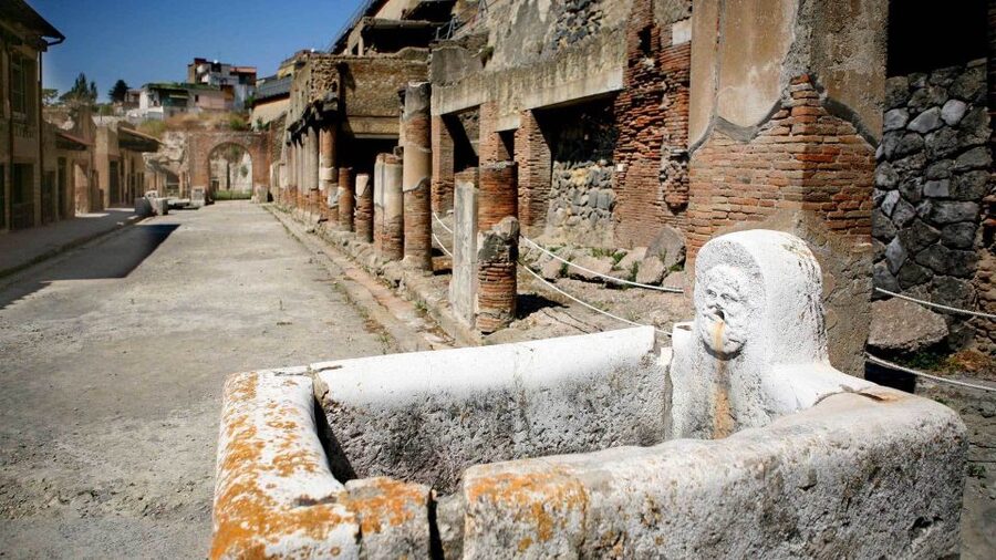 Pompeii Guided Walking Tour – Skip-the-Line Priority Access - Elite residences: the House of the Faun and Roman status in stone