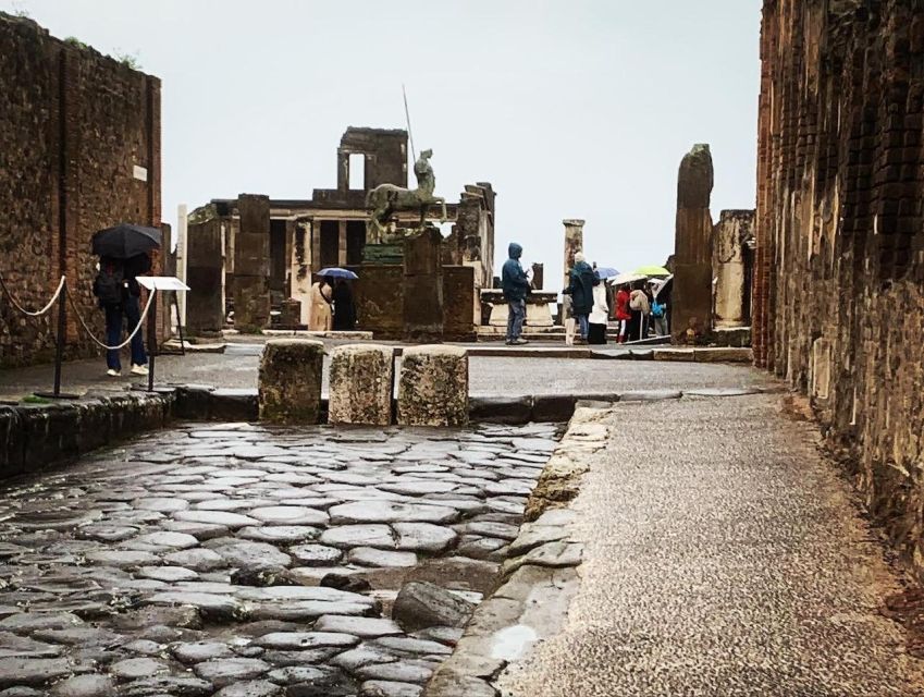 Pompeii in 2h and 30mnt: walk with local guide - Key Things to Know Before You Go