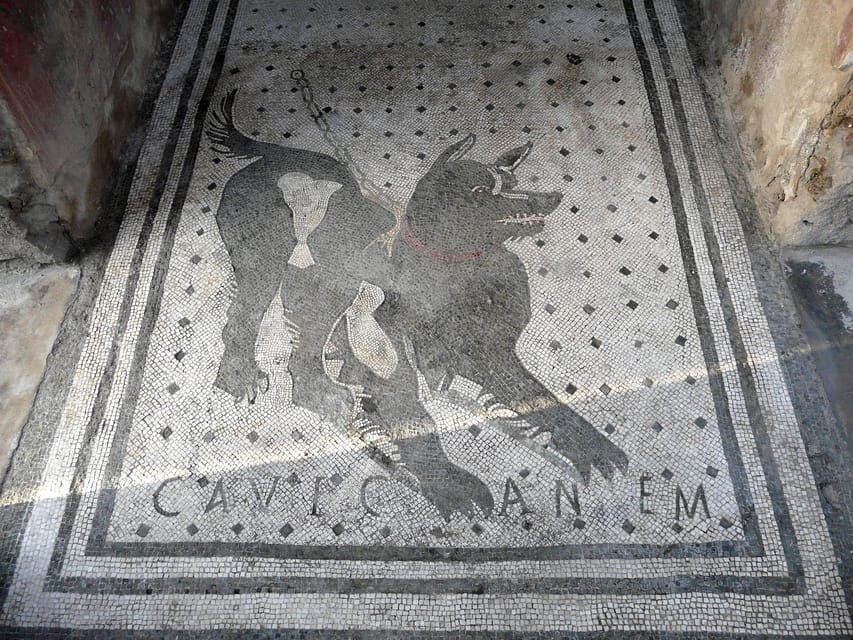 Pompeii: Skip-the-Line Entry & Audioguide - Key highlights worth your attention