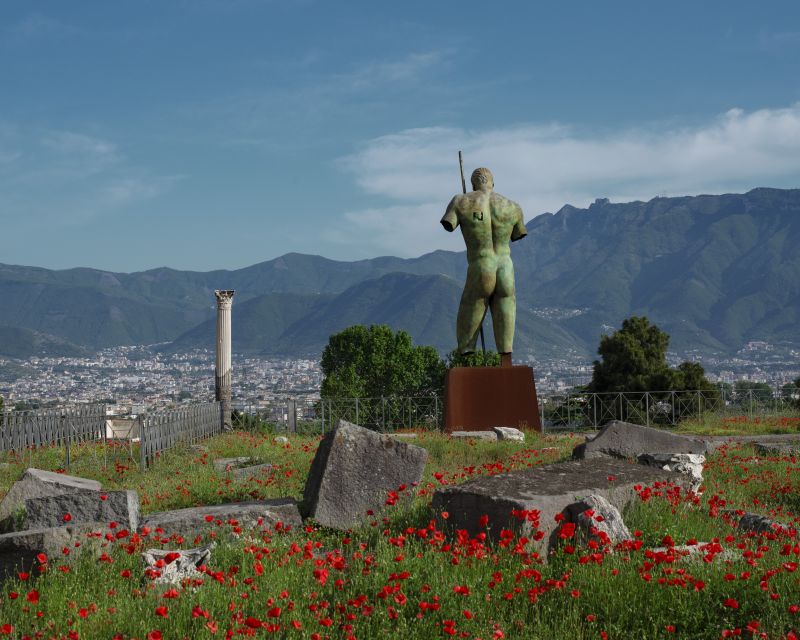 Pompeii: Skip-the-Line Entry Ticket with Digital Guide App - Key takeaways before you buy