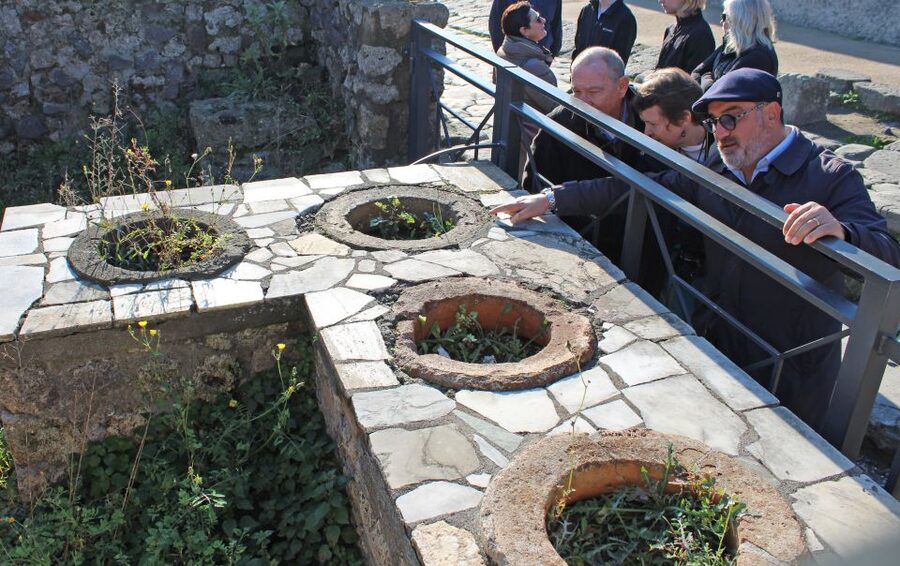 Pompeii: Skip-the-Line Tickets and Tour with Archaeologist - What to pack for Pompeii ruins (and what gets you turned away)