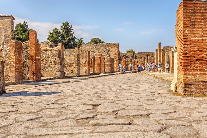 Pompeii Ticket + Tour with Optional Tasting Experience at Pompeii - Group size and pacing: two hours can be perfect, or feel tight