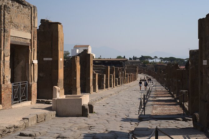 Pompeii Tour & Lunch with Wine Tasting Experience - Price and value: why $120.98 may feel fair, or not