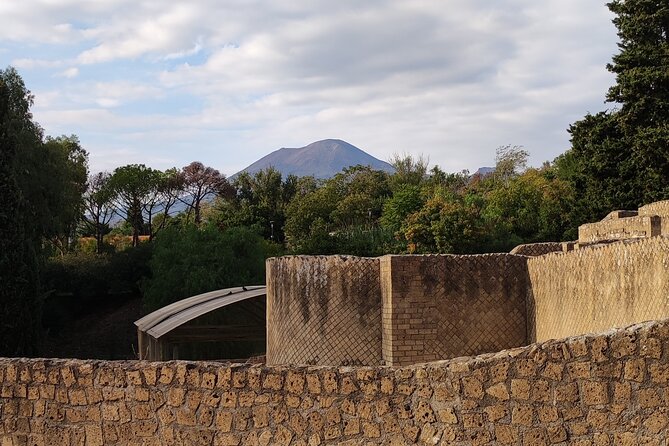 Pompeii: Tour with Archaeologist Guide & Skip-the-Line Entry - Getting in smoothly: Welcome Box check-in and skip-the-line entry