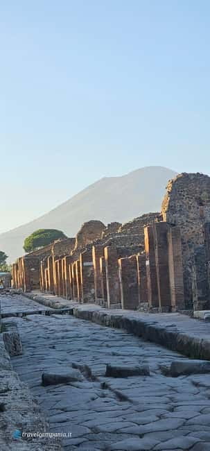 Pompeii: Tour with Archaeologist Guide & Skip-the-Line Entry - Lupanare and the Forum: commerce, crowds, and civic power