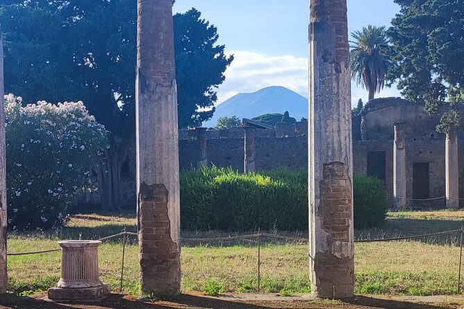 Pompeii: Tour with Archaeologist Guide & Skip-the-Line Entry - How the guide, language options, and radioguide work in practice