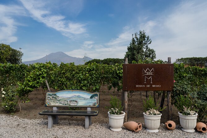 Pompeii Vineyard Escape: Private Wine Tasting & Lunch - Pompeii Vineyard Escape: the best kind of break from ruins day