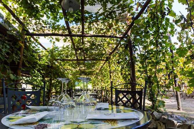 Pompeii Vineyard Escape: Private Wine Tasting & Lunch - Lunch at Pompeii: paccheri and tomatoes from Mount Vesuvius