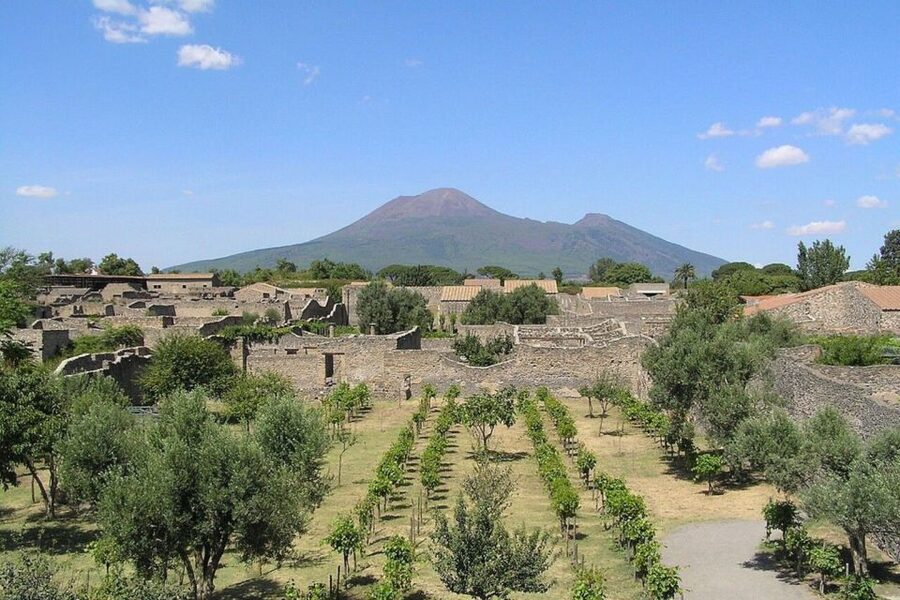 Pompeii with Wine Tasting Private Tour - Where you can get picked up and dropped off