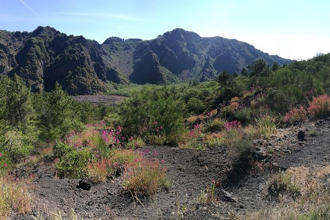 Private Day Tour to Vesuvius, Herculaneum & Pompeii with Pick Up - Mount Vesuvius: what the hike is like and how to protect your chances of a great view