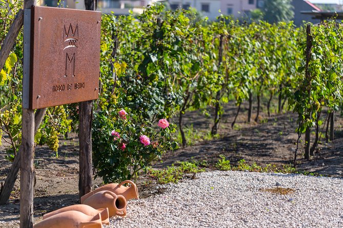 Private Pompeii Tour with Organic Wine Tasting & Lunch - Why This Pompeii + Winery Half-Day Works So Well