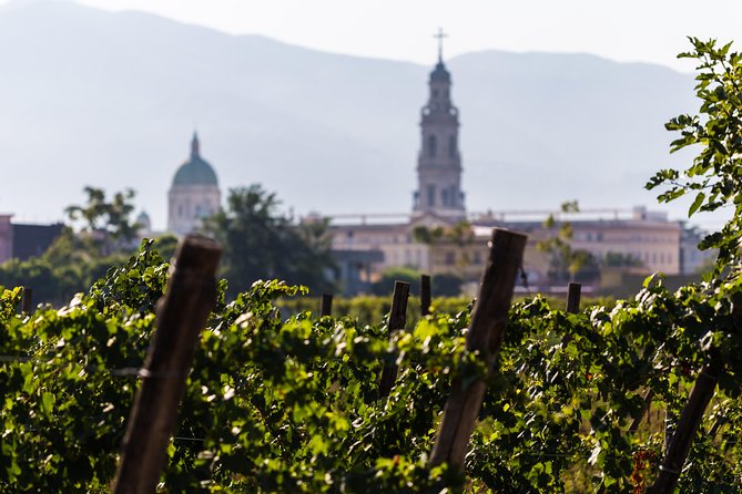 Private Pompeii Tour with Organic Wine Tasting & Lunch - Bosco de Medici Winery: Vineyards, Cellar, and the Organic Angle