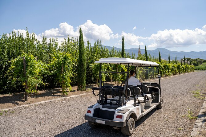 Private Pompeii Tour with Organic Wine Tasting & Lunch - The Private Group Advantage: Your Questions, Your Pace, Your Day