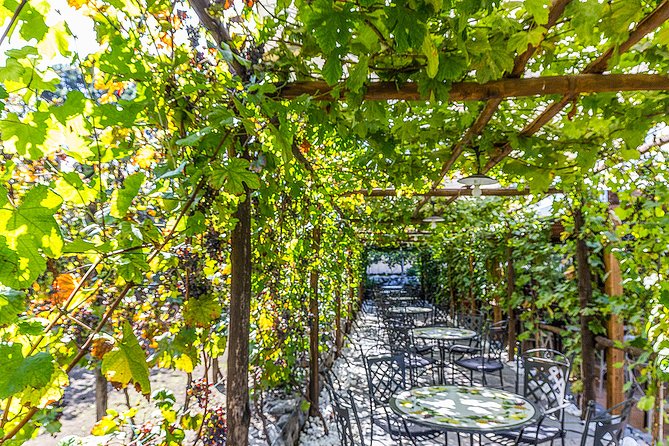 Private Pompeii Tour with Organic Wine Tasting & Lunch - Pompeii Archaeological Park, 2 Hours with a Licensed Guide