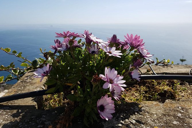 Private Transfer from Naples to Positano - Naples to Positano by private car, the practical way to start the coast