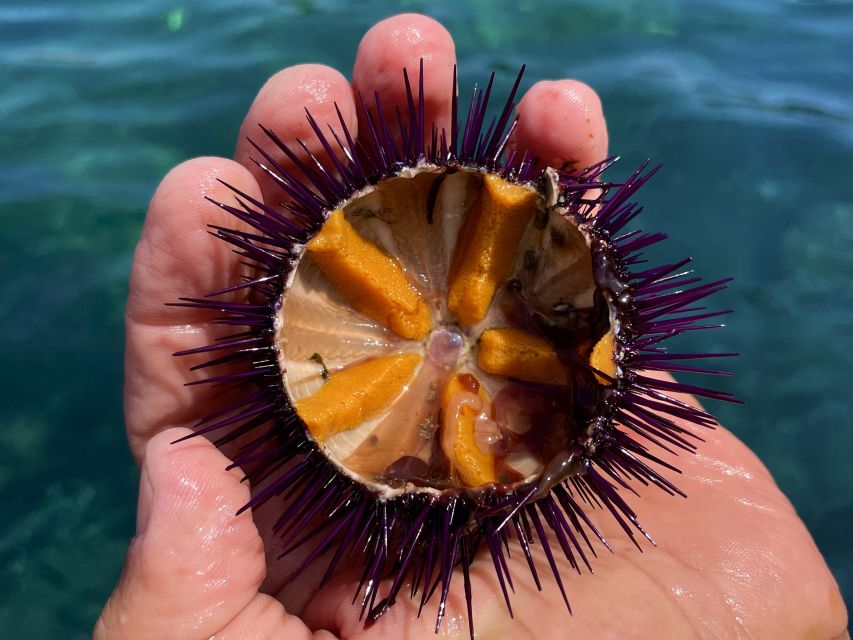 Procida: Boat Tour with Swimming Stops and Underwater Photos - Punta dei Monaci and the Cave of the Sea Ox viewpoint