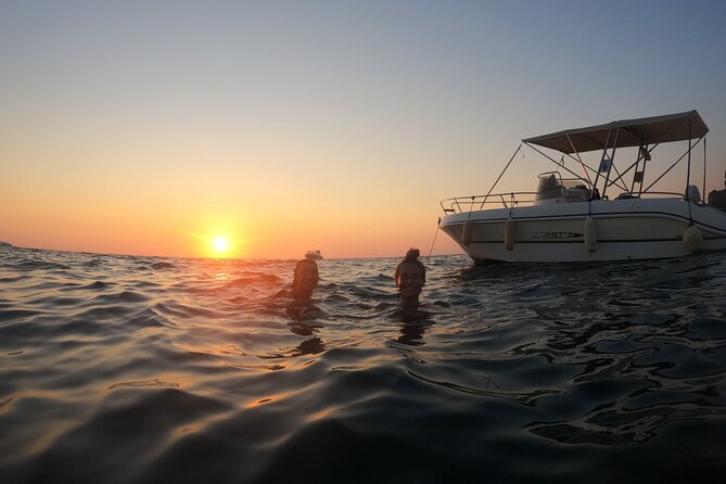 Procida Island Tour by Boat 2h 15m with Swimming and Underwater Photos - Stop 3: Isola di Vivara Nature Reserve Viewed From the Sea