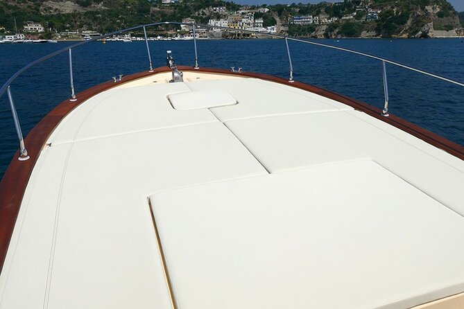 Procida Island Tour by Boat 2h 15m with Swimming and Underwater Photos - Stop 1: Palazzo DAvalos and Swim Time Near Terra Murata