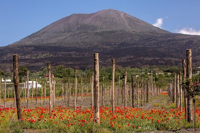 Scenic Wine Tasting & Lunch on the Slopes of Vesuvius from Naples - Lunch on the Slope: Cold Cuts, Spaghetti allo Scarpariello, and Dessert