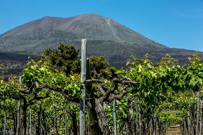 Scenic Wine Tasting & Lunch on the Slopes of Vesuvius from Naples - Pickup and the Ride Out of Naples (and how to protect your tasting time)