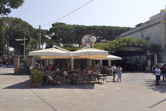 Semi - Private Tour of Pompeii with an Archaeologist - Crowds, walking, and staying together when Pompeii is busy